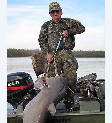 Record photograph for Ictalurus furcatus
